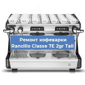 Чистка кофемашины Rancilio Classe 7E 2gr Tall от накипи в Челябинске
